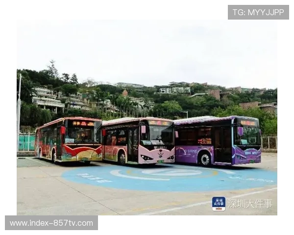 宝安借全运推主题巴士，实现观赛与观光无缝衔接