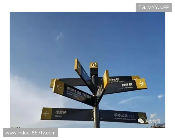 智能终端预装体育应用 拓宽内容分发初始入口